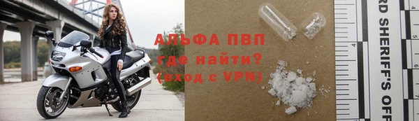 метадон Богданович