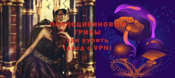 амф Тайга
